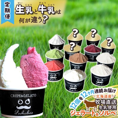 ＜12ヶ月定期便＞北海道産 生乳 ジェラート アイス 毎月12個 詰め合わせ ジェラートセット