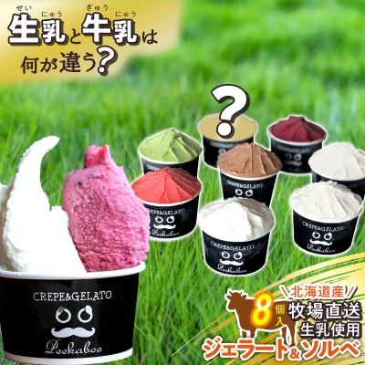 北海道産 生乳 ジェラート アイス 8個 ジェラートセット