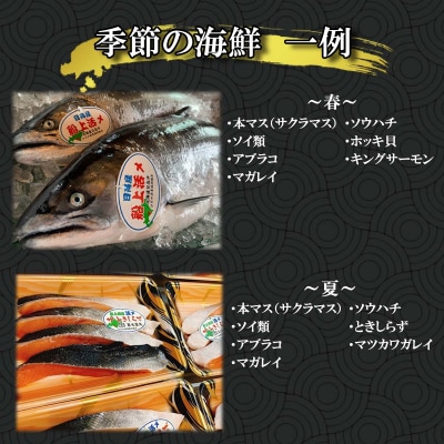 北海道産 旬のお魚 4～5種 お楽しみ詰め合わせ セット