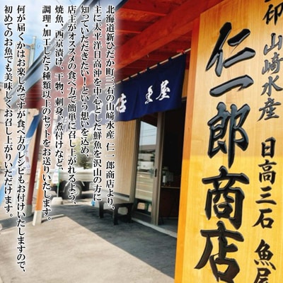 北海道産 旬のお魚 5種以上 豪華 お楽しみ詰め合わせ セット