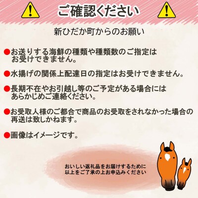 北海道産 旬の魚介 5種以上 豪華 お楽しみ詰め合わせ セット