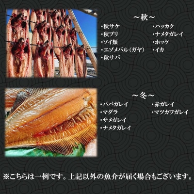 北海道産 旬のお魚 5種以上 豪華 お楽しみ詰め合わせ セット