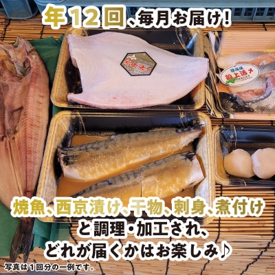 <定期便12回>北海道産 旬の魚介 4～5種 お楽しみ定期便
