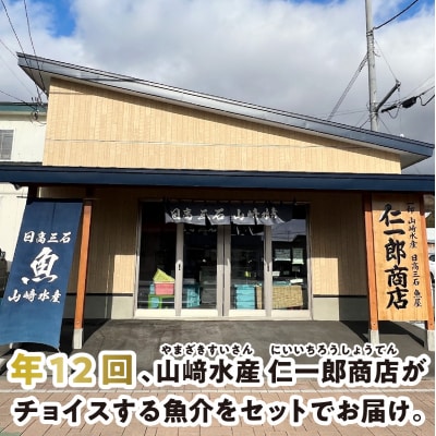 <定期便12回>北海道産 旬の魚介 4～5種 お楽しみ定期便