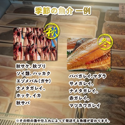＜定期便12回＞北海道産 旬のお魚 4～5種 お楽しみ定期便