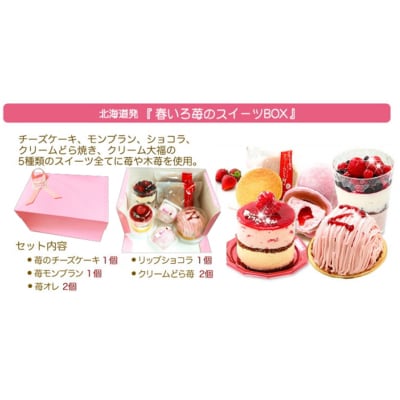 【3月中旬から発送】春限定!苺の5種スイーツセット　北海道・新ひだか町のオリジナルスイーツ