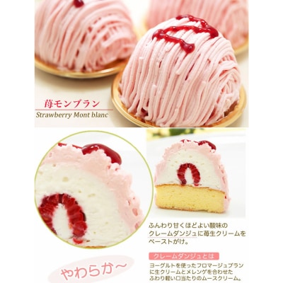 【3月中旬から発送】春限定!苺の5種スイーツセット　北海道・新ひだか町のオリジナルスイーツ