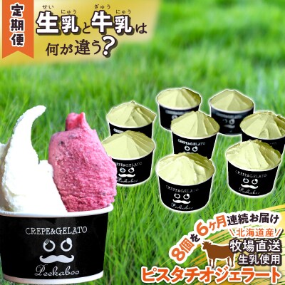 ＜6ヶ月定期便＞北海道産 生乳 ジェラート アイス ピスタチオ 毎月8個 ジェラートセット