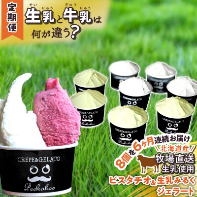 ＜6ヶ月定期便＞北海道産 生乳 ジェラート 毎月8個 ピスタチオ&生乳ミルク 各4個 詰め合わせ