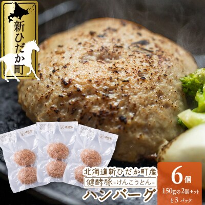 北海道産 健酵豚 ハンバーグ 計 900g (150g ×6個)