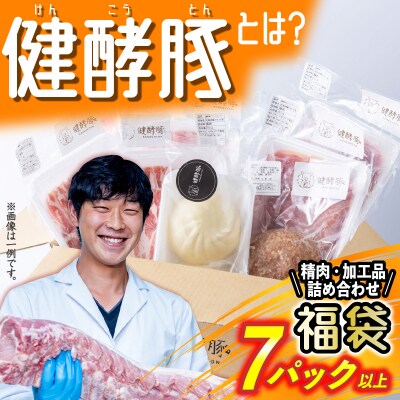 北海道産 健酵豚 お楽しみ 加工品 あり 福袋 7パック以上