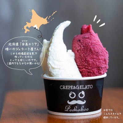 北海道産 生乳 ジェラート アイス 8種 8個 ジェラートセット