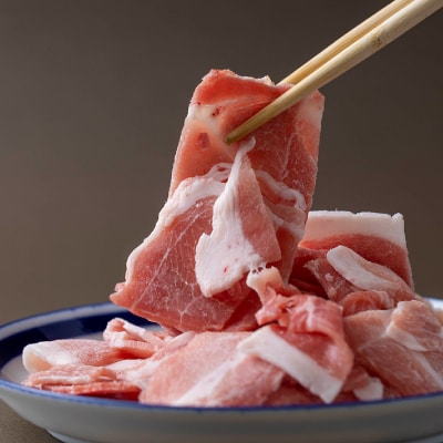 北海道産健酵豚 小間切れ 計1.2kg(400g×3パック)