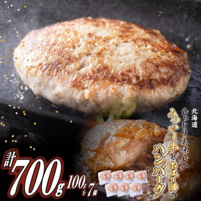 北海道産 黒毛和牛 みついし牛 と ホエー豚 のハンバーグ 計700g (100g×7個)