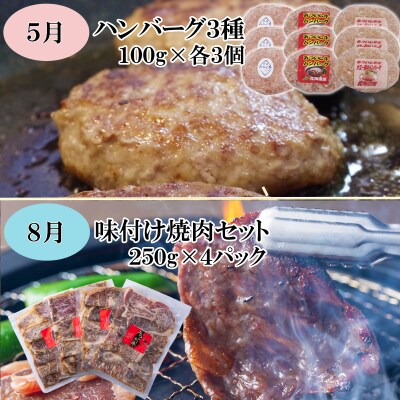 ＜定期便4回＞ 北海道産 黒毛和牛 みついし牛 食べ比べ定期便