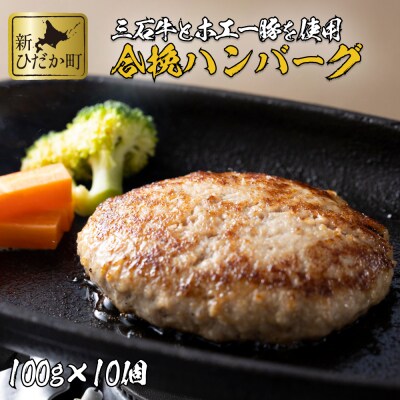 北海道産 黒毛和牛 みついし牛 と ホエー豚 のハンバーグ10個 計1kg