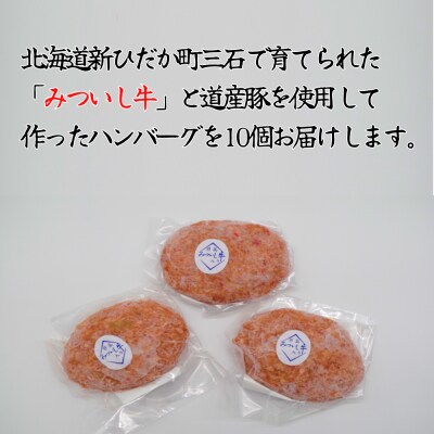 北海道産 黒毛和牛 みついし牛 と 道産豚 のハンバーグ10個 計1kg