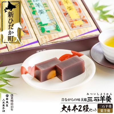元祖三石羊羹 大4本2種詰め合わせセット