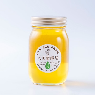 北海道産天然はちみつ ホワイトクローバー蜜600g