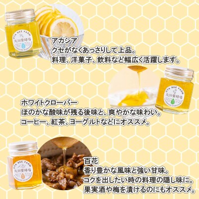 北海道産天然はちみつ3種 計390g(各130g)新ひだか町推奨品セットA