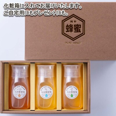 北海道産天然はちみつ3種 計900g(各300g)新ひだか町推奨品セットB