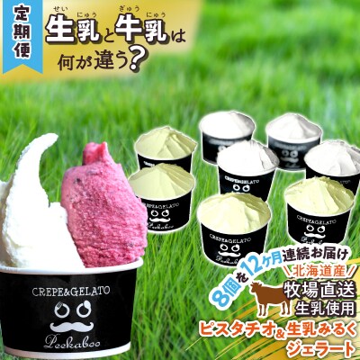 ＜12ヶ月定期便＞北海道産 生乳 ジェラート 毎月8個 ピスタチオ&生乳ミルク 各4個 詰め合わせ