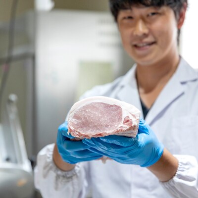 北海道産 健酵豚 半頭買い 計 約25kg