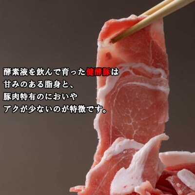 <定期便12回> 北海道産 健酵豚 小間切れ 計 1.2kg (全14.4kg)