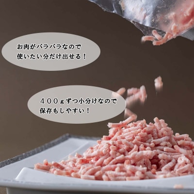 <定期便12回> 北海道産 健酵豚 ひき肉 計 1.2kg (全14.4kg)