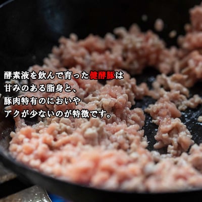 ＜定期便12回＞ 北海道産 健酵豚 ひき肉 計 1.2kg (全14.4kg)