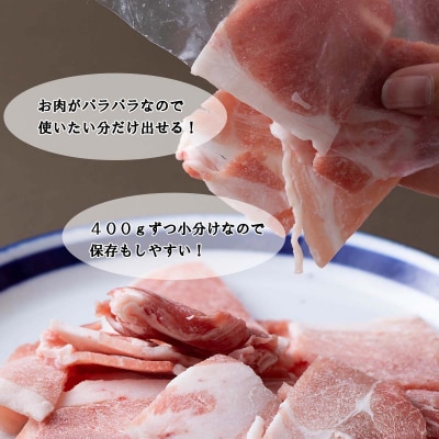 ＜定期便12回＞ 北海道産 健酵豚 小間切れ & ひき肉 計 1.2kg (全14.4kg)