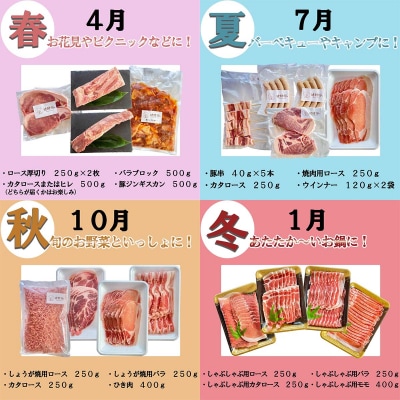 ＜定期便4回＞ 健酵豚 季節を楽しむ豚肉定期便