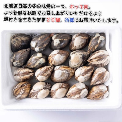 北海道産活ホッキ貝 20個