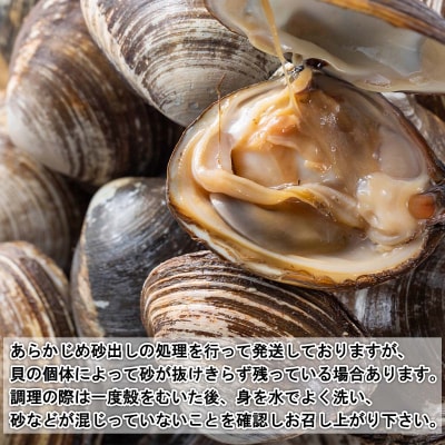 北海道産活ホッキ貝 20個