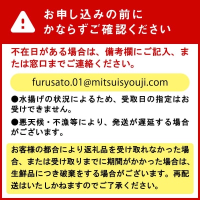 <11月中旬より順次発送>北海道産活ホッキ貝 20個<先行受付>