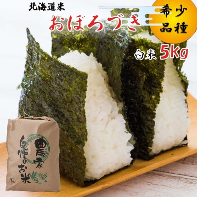 <10月中旬から順次発送> 新米 令和7年度産 北海道米 おぼろづき 白米 5kg 新ひだか町