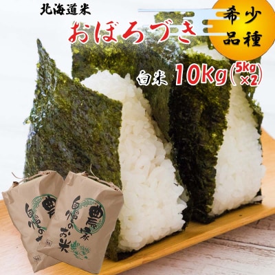 新米 令和7年度産 北海道米 おぼろづき 白米 10kg (5kg×2)