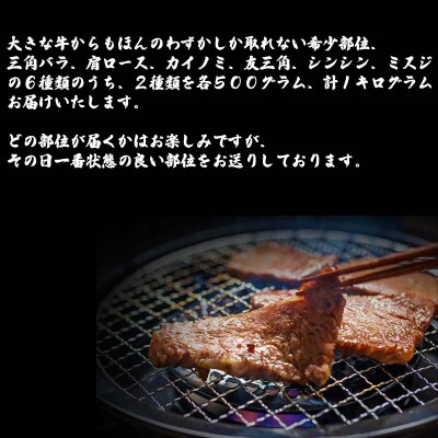 北海道産 黒毛和牛 こぶ黒 A5焼肉おまかせ希少部位2種 1kg (500g×2)【LC】