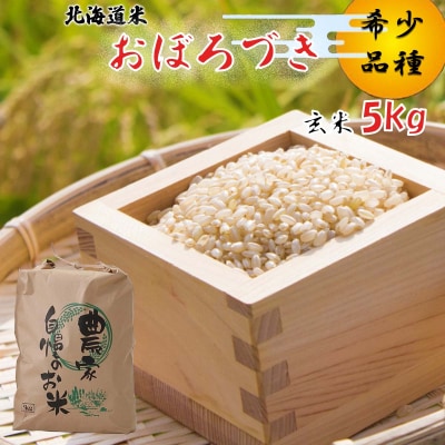 <10月中旬から順次発送> 新米 令和7年度産 北海道米 おぼろづき 玄米 5kg 新ひだか町