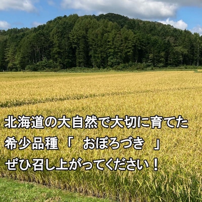 <2024年10月から順次発送>北海道産希少米 おぼろづき玄米 5kg 令和6年度米
