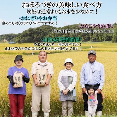 <2024年10月から順次発送>北海道産希少米 おぼろづき玄米 5kg 令和6年度米