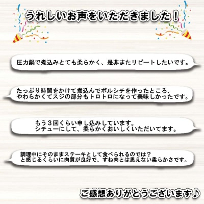 北海道産 黒毛和牛 こぶ黒 A5煮込みビーフシチュー用 800g【LC】