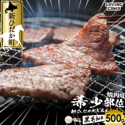 北海道産 黒毛和牛 こぶ黒 A5焼肉おまかせ希少部位1種 500g 【LC】