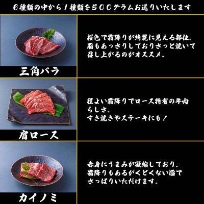 北海道産 黒毛和牛 こぶ黒 A5焼肉おまかせ希少部位1種 500g 【LC】