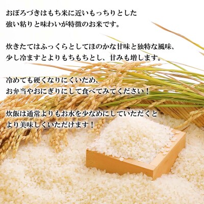 <10月発送開始>北海道産おぼろづき白米5kg&日高昆布(一等級 200g、きざみ昆布120g) 