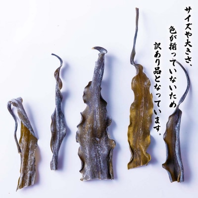 訳あり 北海道産日高昆布 根昆布700g
