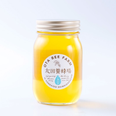 北海道産天然はちみつ アカシア600g