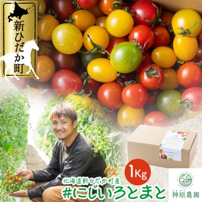  <9月30日までの受付> 北海道産 カラフル ミニトマト 1kg #にじいろとまと