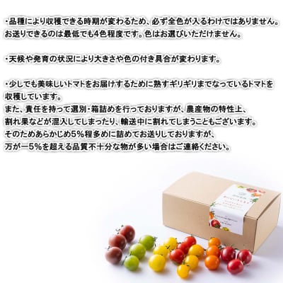 <2026年8月上旬より発送> 北海道産カラフル ミニトマト1kg #にじいろとまと <先行受付>