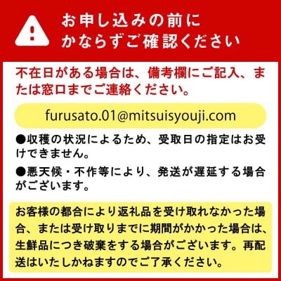  <9月30日までの受付> 北海道産 カラフル ミニトマト 1kg #にじいろとまと